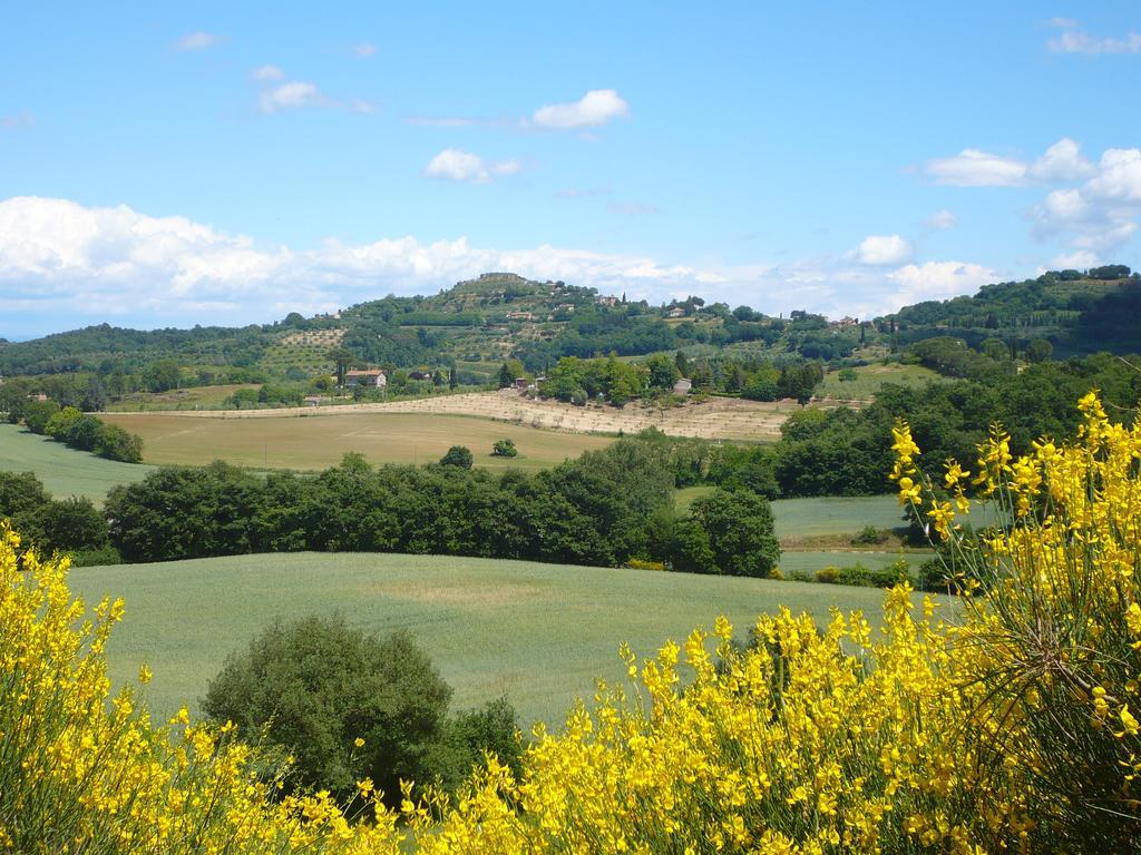 Podere Sionne * Chiusi