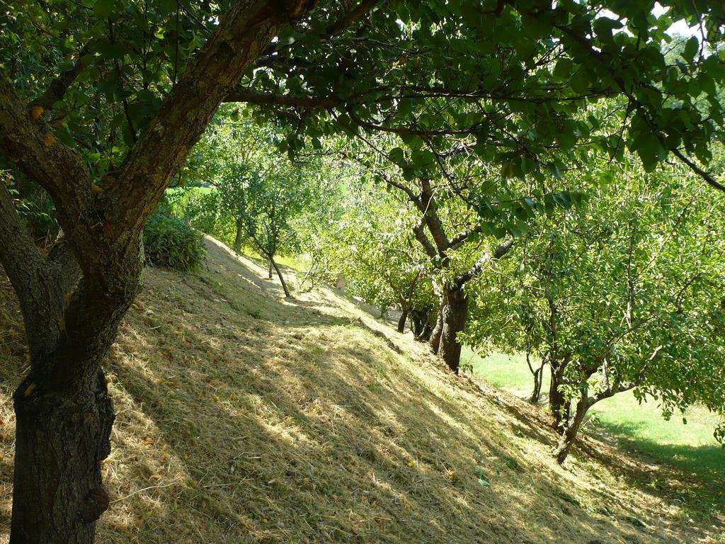 Landhaus Podere Sionne Chiusi