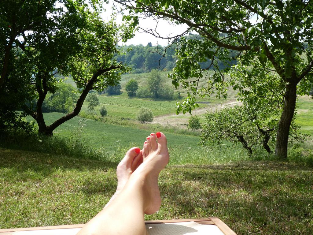 Podere Sionne Landhaus *